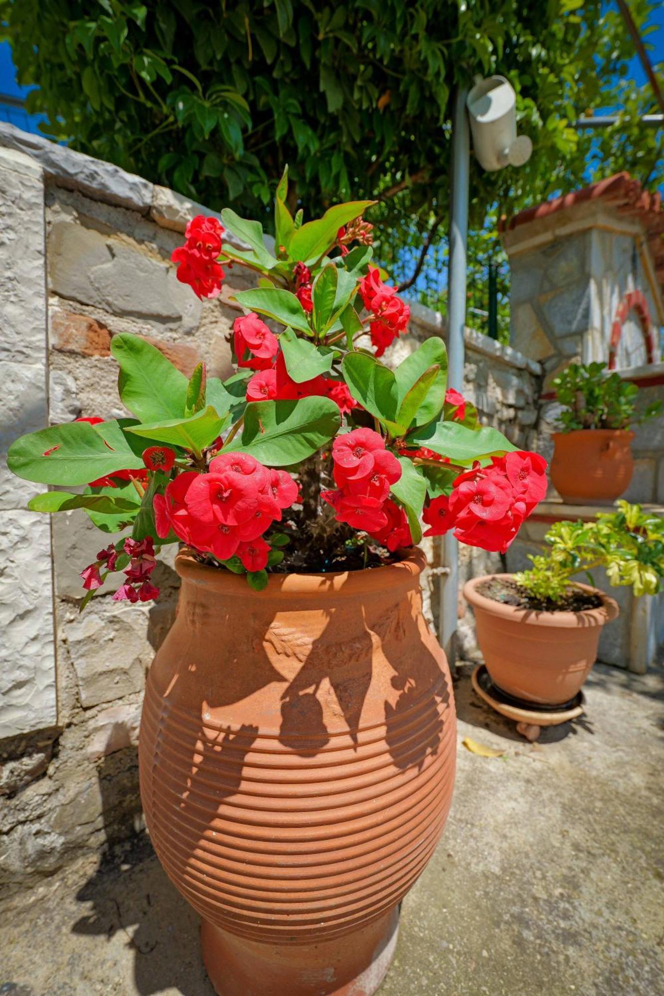 Shena The Farm Boutique Hotel Mesopotam Bagian luar foto